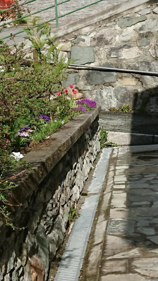 B&B Maison Odille Valtournenche Kültér fotó