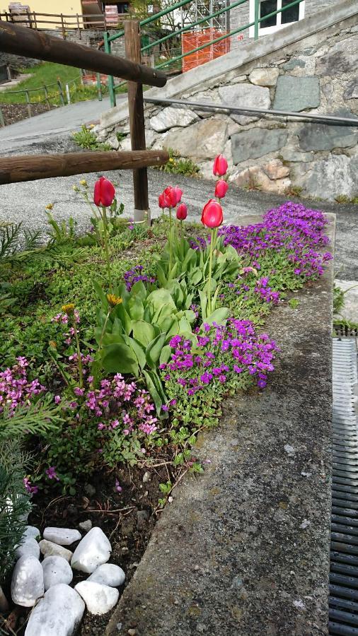 Solo Camere Maison Odille Valtournenche Kültér fotó