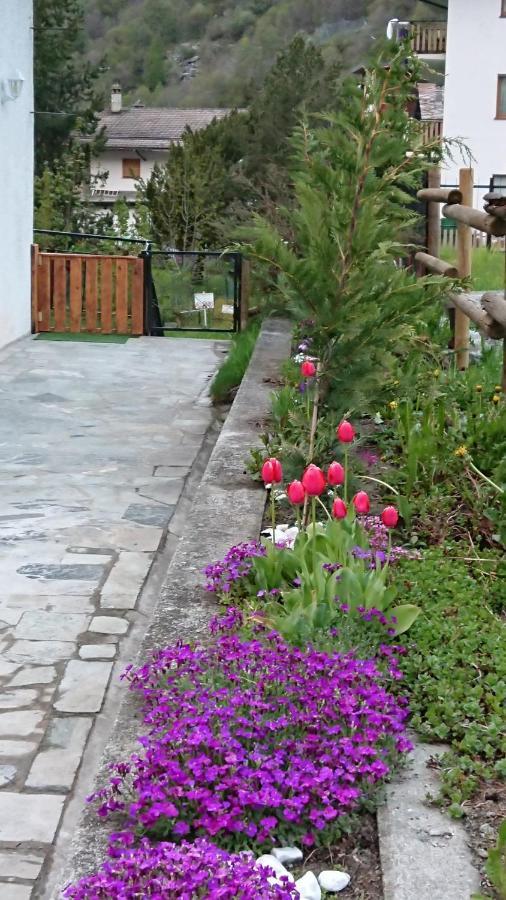 B&B Maison Odille Valtournenche Kültér fotó