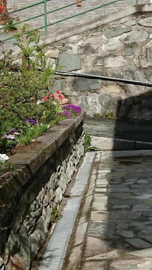 B&B Maison Odille Valtournenche Kültér fotó